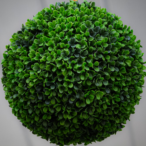 Sleepy Hollow, NY - Oct 2025